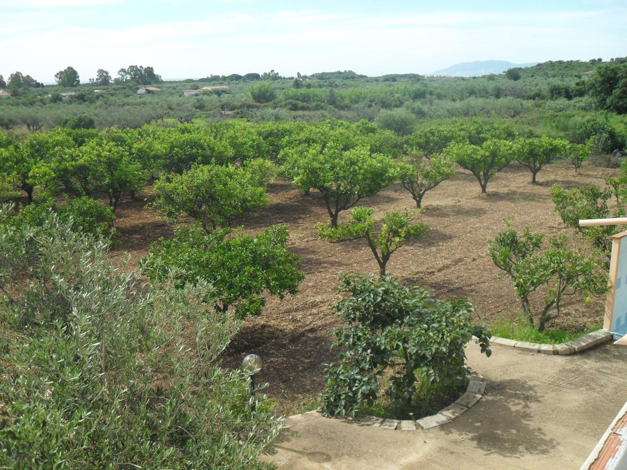 Residenza Rosa Maria Holiday home Orosei