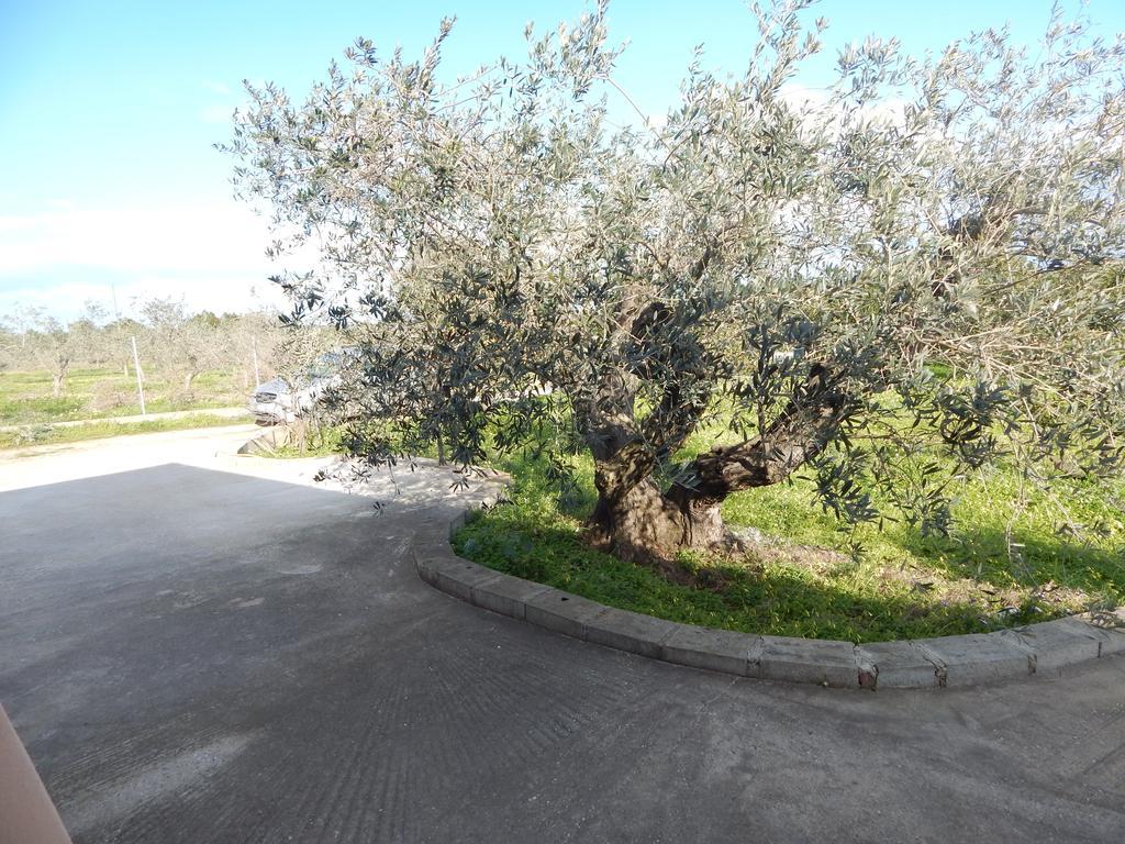 Residenza Rosa Maria Holiday home *
